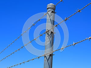 Barbed wire fence