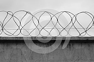 Barbed wire fence