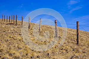 Barbed wire fence