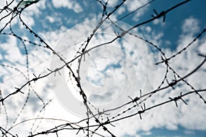 Barbed Wire Fence Against Blue Sky. Freedom Independence Silence Loneliness Concept