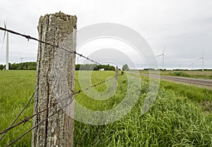 Barbed wire fence along a country road with green grass fields