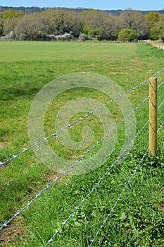 Barbed wire fence along crop field.