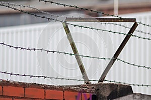 Barbed wire fence as protection and no trespassing safety symbol and warning for defense and military razor sharp security for jai