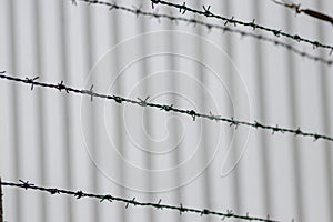 Barbed wire fence as protection and no trespassing safety symbol and warning for defense and military razor sharp security for jai