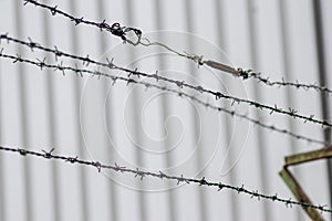 Barbed wire fence as protection and no trespassing safety symbol and warning for defense and military razor sharp security for jai