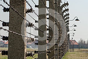 Barbed Wire Fence in Auschwitz Birkenau Concentration Camp