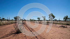 Barbed Wire Fence In An Australian Outback Paddock