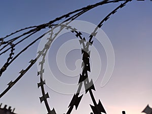 Barbed wire fence background