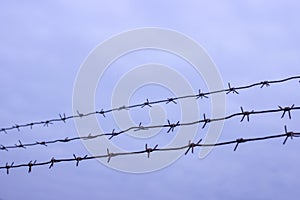 Barbed wire on fence on a background of blue clouds, protected object, no trespassing, black and white