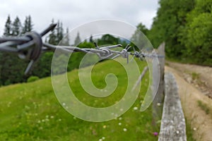 the barbed wire fence on the background of wild nature