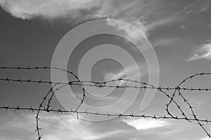 Barbed wire fence in black and white