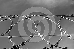 Barbed wire fence in black and white