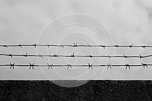 Barbed wire on fence black and white, protected object, no trespassing, black and white