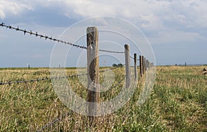 Barbed wire fence with blue cloudy skies bordering farm property in the prairies wild grass of alberta photo