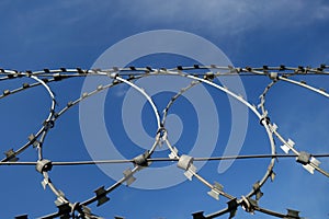 Barbed wire fence and blue sky