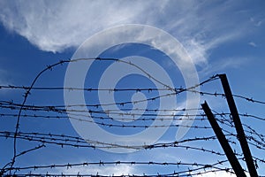 Barbed wire fence and blue sky