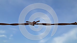 Barbed wire fence with blue sky, Nature stock images