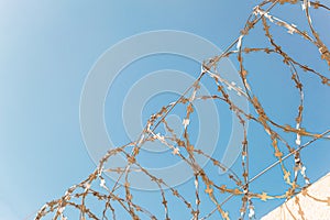 Barbed wire on the fence close-up photo