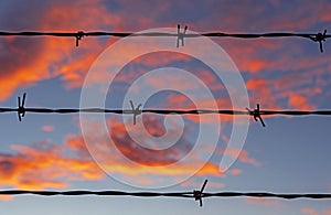 Barbed Wire Fence Close Up At Sunrise