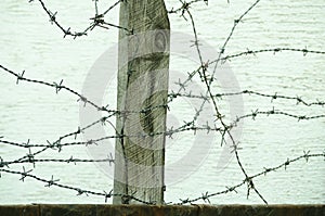Barbed wire fence close up in the war zone to protect prisoners from escaping camp photo