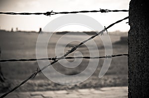 Barbed wire fence in concentration camp
