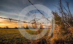 Barbed wire fence in countryside