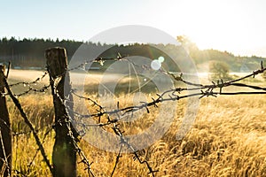 Barbed wire fence in the countryside. Valley sunrise. Sun Rays with dew drop on barbed wire fence and dry grass. Fog in the hill