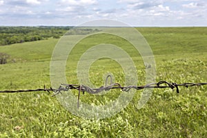 Barbed wire fence detail, Flint Hills, Kansas