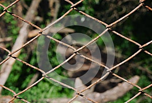 Barbed Wire Fence Enclosing an Area of a Park in San Francisco`s Golden Gate Park