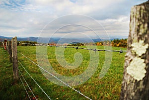 Barbed wire fence and field