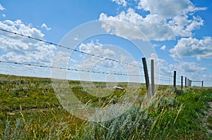 Barbed Wire Fence and Field