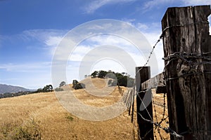 Barbed Wire Fence and Golden Grass