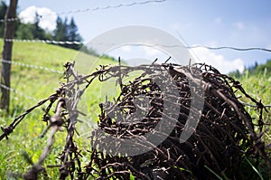 Barbed wire fence in a mountain meadow