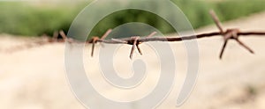 Barbed wire fence in the nature