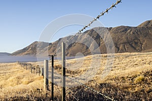 Barbed Wire Fence. NZ