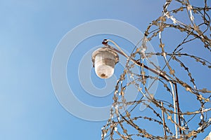 Barbed wire on a fence with outdoor lamp photo