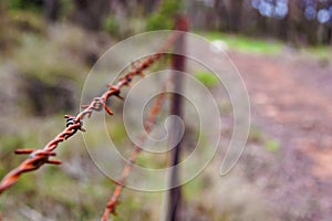 Barbed wire fence by Path