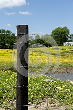 Barbed Wire Fence And Post