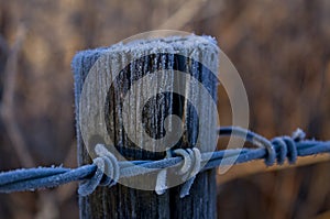 Barbed wire fence post frosted or iced