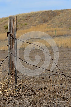 Barbed Wire and Fence Post with Wild Prairie Background