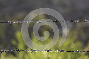 Barbed wire fence with raindrops on it in the morning