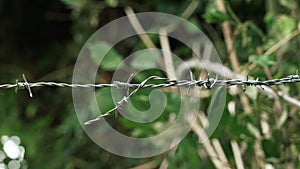 Barbed wire fence with steel sharp spikes on farmland on green foliage