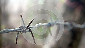 Barbed wire on fence to feel worrying. Barbed wire.