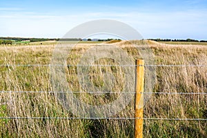 Barbed wire fence to the rural grassland
