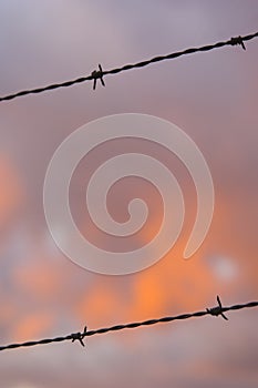 Barbed wire fence (vertical)