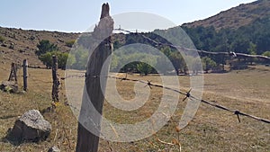 The Barbed Wire Fence Wooden Post Of The Countryside. The fenced area has a small forest.