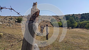 The Barbed Wire Fence Wooden Post Of The Countryside. The fenced area has a small forest