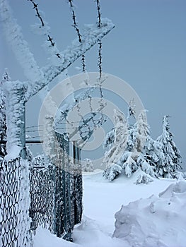 Barbed wire fencing