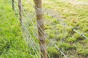 Barbed wire fencing
