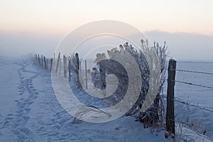 Barbed wire fencing covered in winter snow